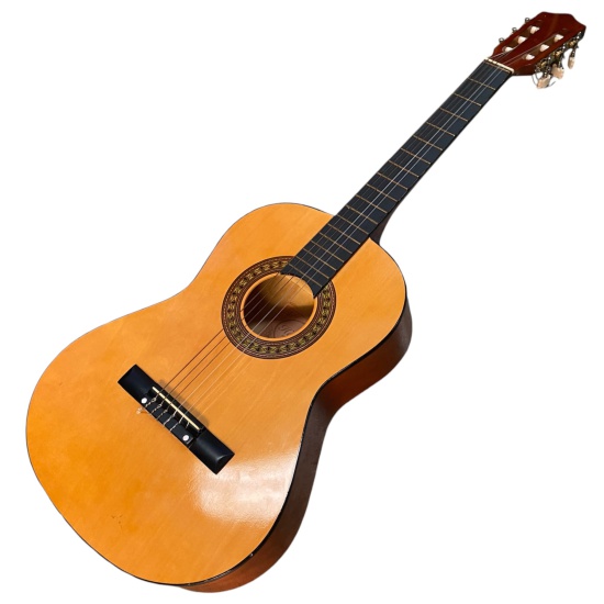 Acoustic Guitar